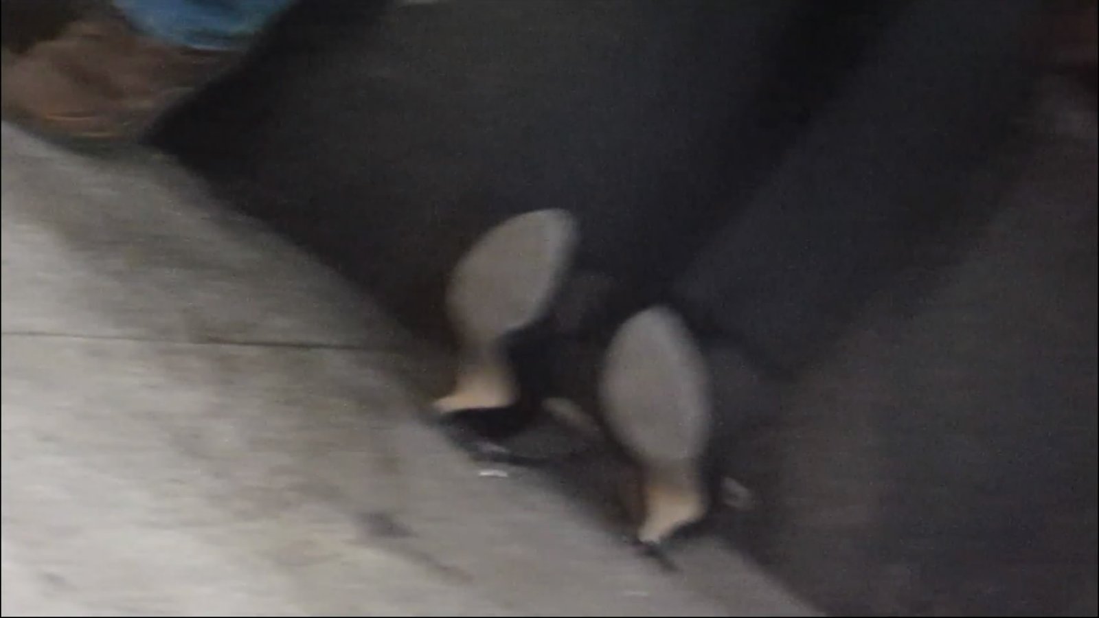 streetsnapshoep[00 01 32][20181210 204621 7]